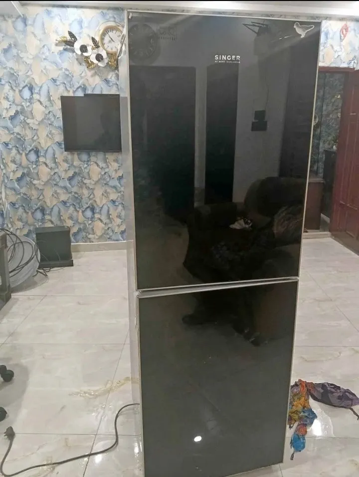 Singer Fridge 275L