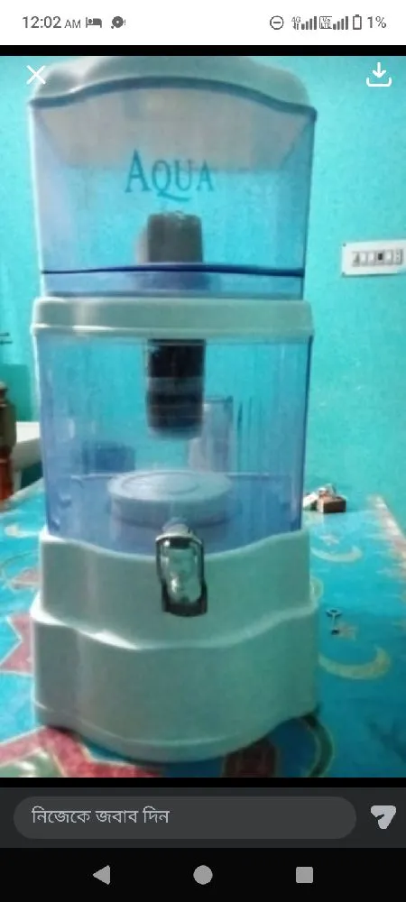 পিনিল