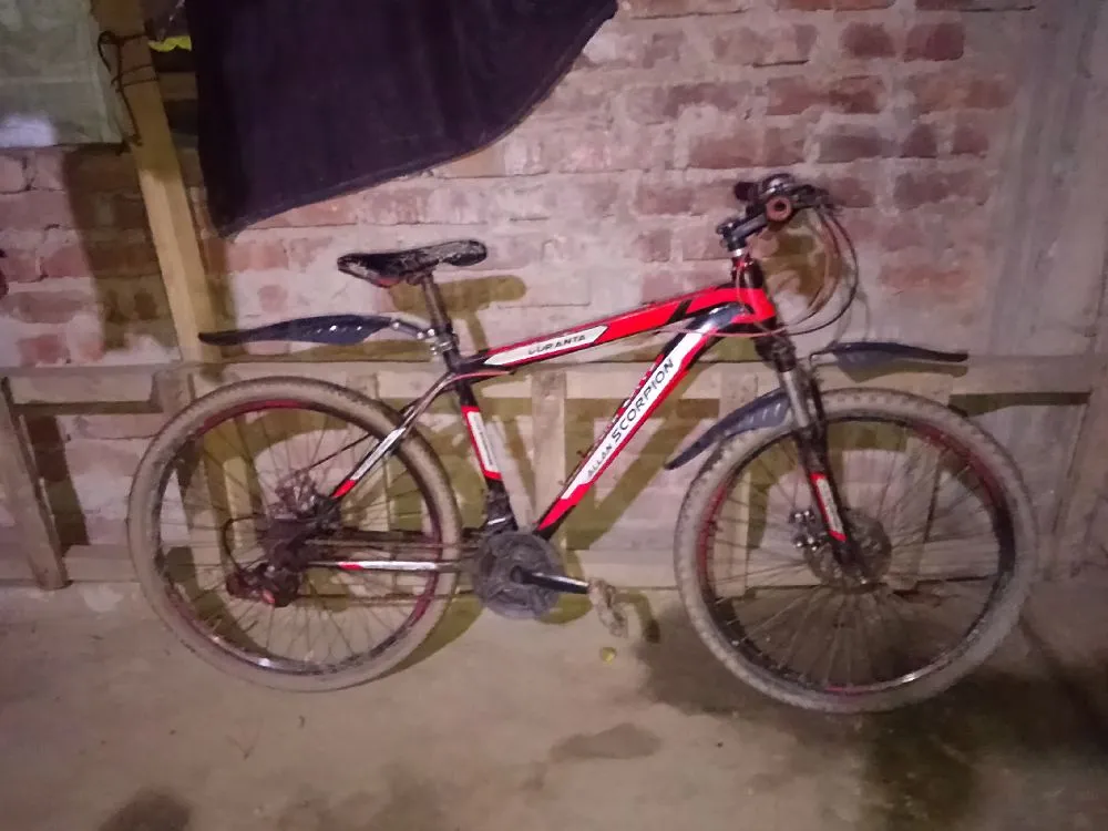 DURANTO scorpion gear cycle.