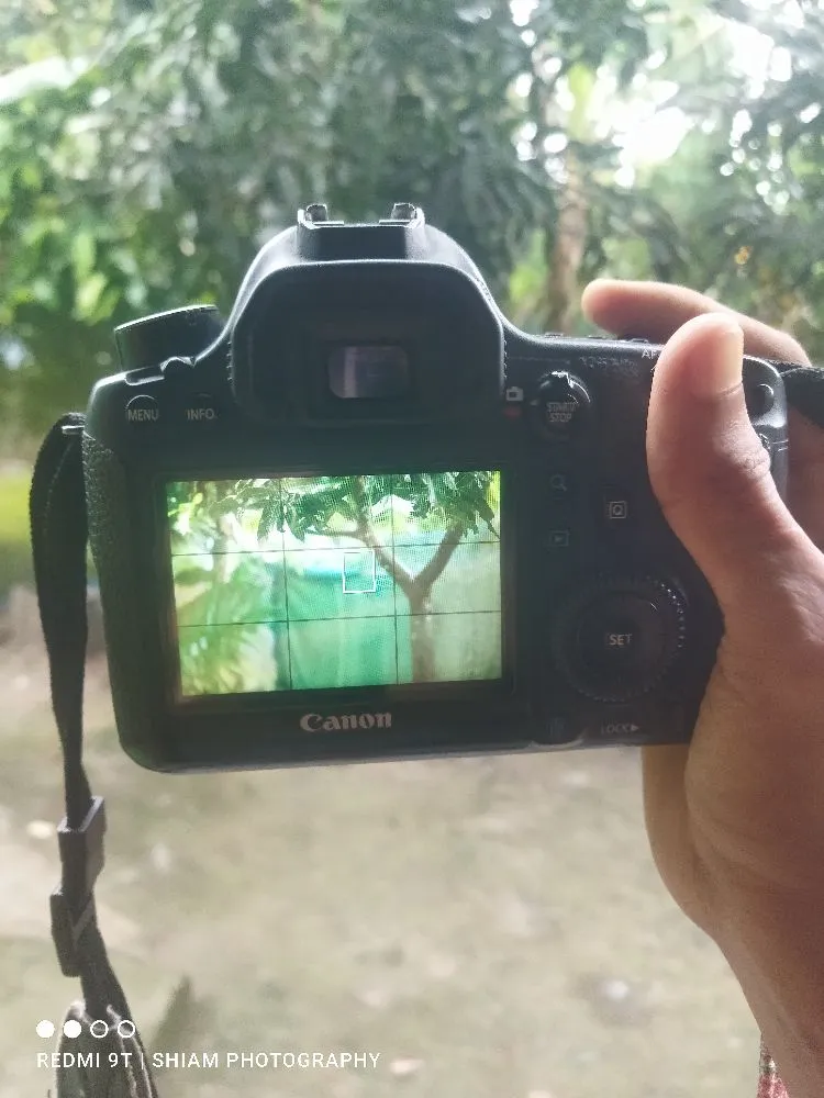 Canon 6D body only