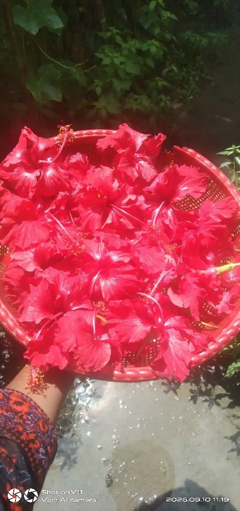 আসসালামু আলাইকুম আমি তামান্না তামু নারী উদ্যোক্তা মঠবাড়িয়া।