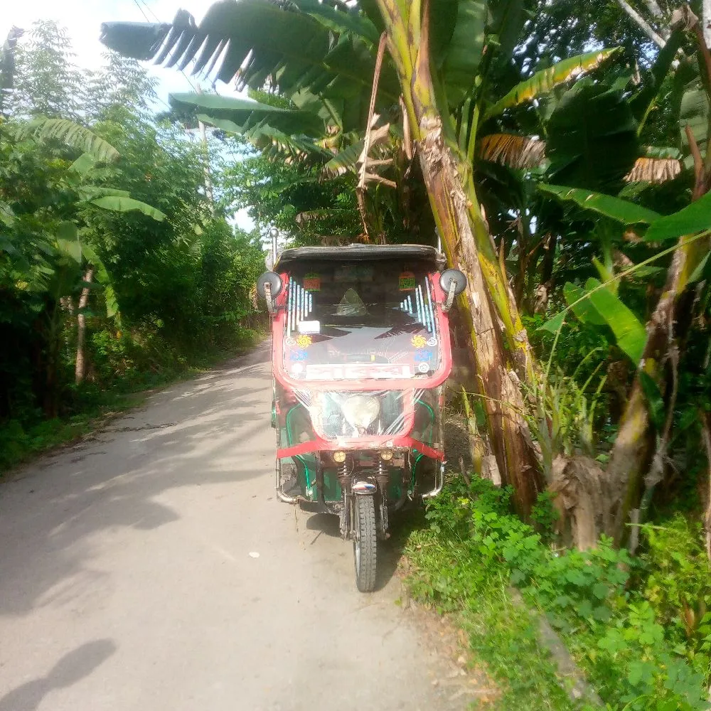 গ্রাম ছোট শৌলা