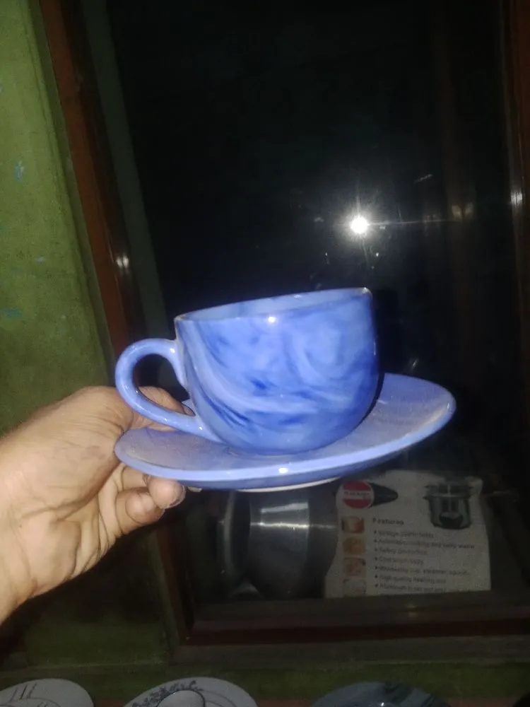 ভাইরাল ডিনার সেট
